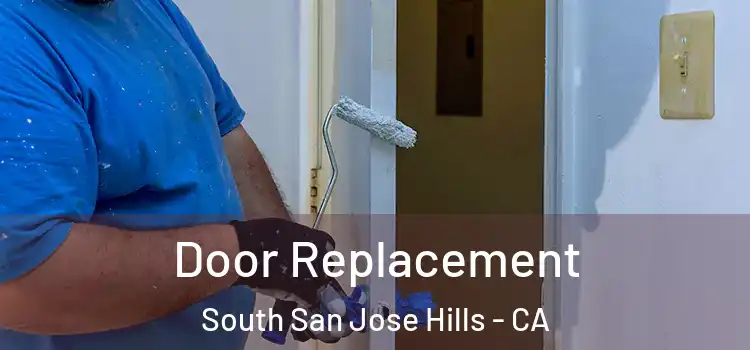 Door Replacement South San Jose Hills - CA